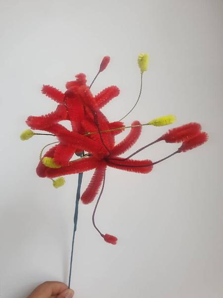 Pipe cleaner flower Red