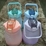 Gradiant Bottle Big Belly