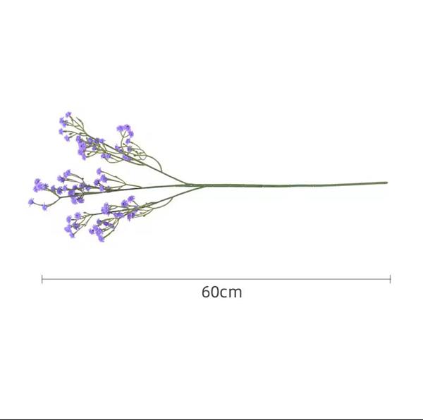 Gypsophila Flower