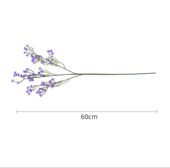 Gypsophila Flower